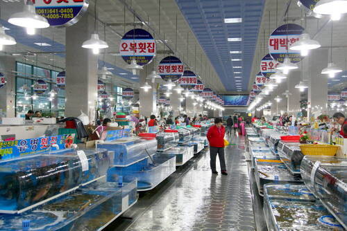여수수산물특화시장 3블록에서 활어회와 돌산대교를 만나는 법