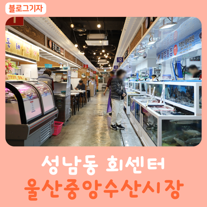 울산중앙수산시장 24개 부스에서 회·고래고기·조개구이 고르기