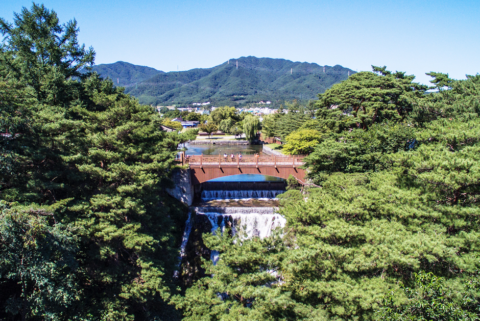 나무가 우거진 제림 산책 구간과 의림지 주변 모습입니다.