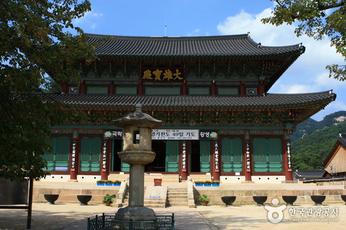 법주사 금동미륵대불이 사찰 뒤편의 속리산을 배경으로 서 있습니다.