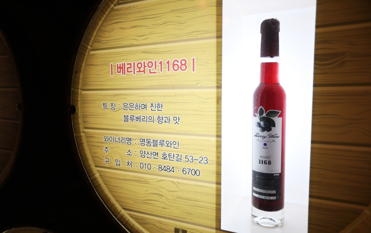 영동와인터널 420m 안에서 만나는 충북 포도와인의 풍경