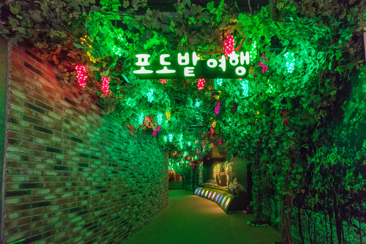 포도 산책로와 조명 포도송이가 어우러진 전시장 모습입니다.