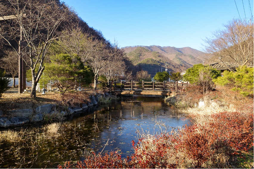 말티재 주변 천연림과 꼬부랑길의 숲길 풍경입니다.