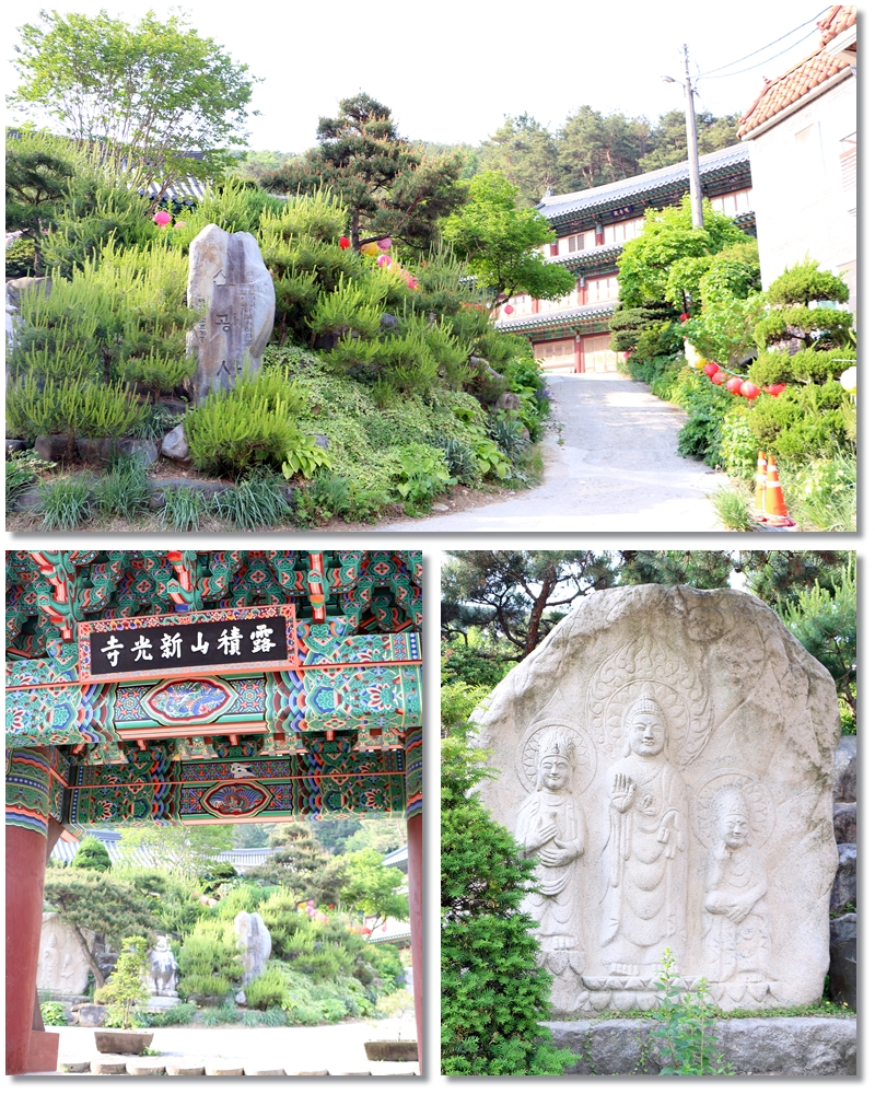 신광사 대웅전과 경내 건물을 보여주는 사진입니다.