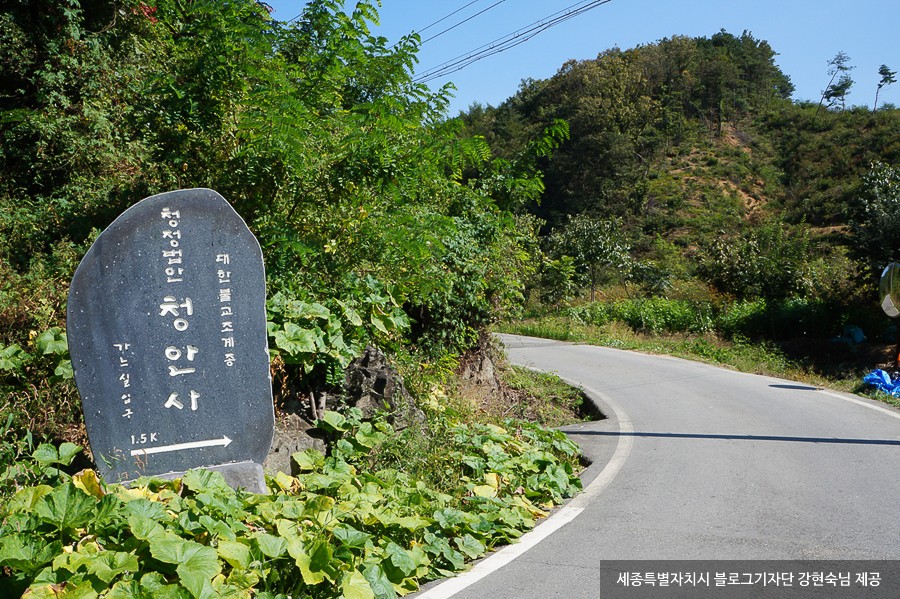 청안사 경내에서 법당으로 이어지는 공간을 담은 사진입니다.