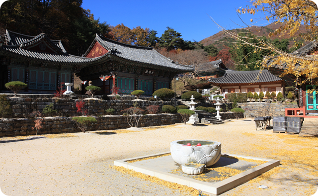 대원사 경내의 전각과 산자락이 함께 보이는 모습입니다.