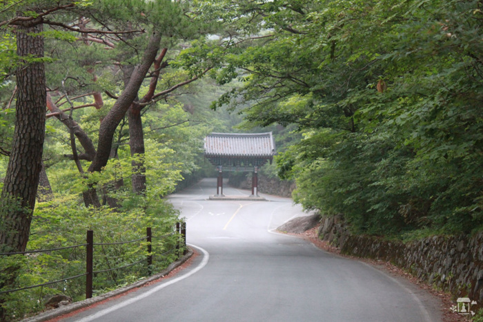 대원사 계곡 주변의 바위와 물길을 보여 주는 풍경입니다.