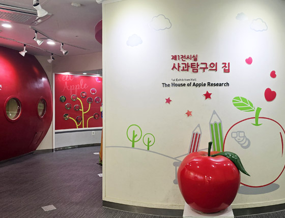 거창사과테마파크 1층 사과탐구의 집 전시 공간입니다.