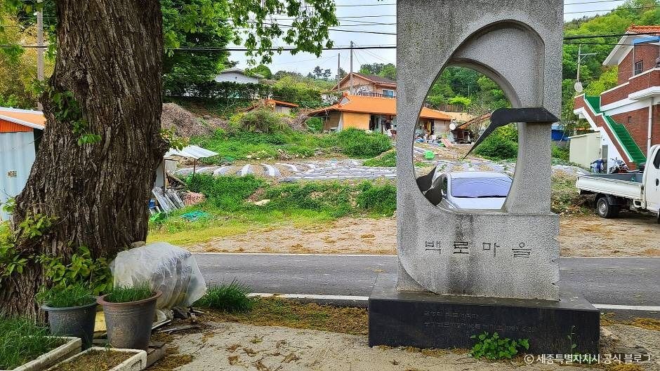 금남면 감성리 산4번지, 백로가 번식지를 고르는 방식