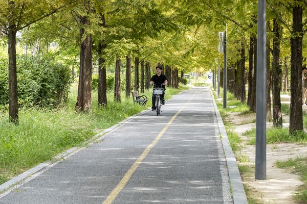 새숨뜰근린공원의 메타세쿼이아 나무가 자전거 코스의 출발점을 보여줍니다.