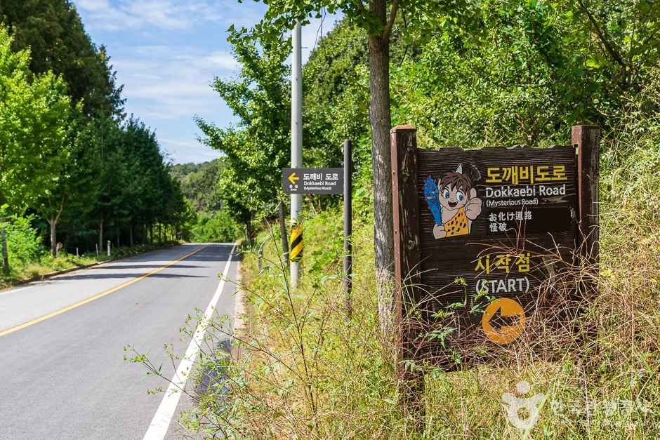 세종 비암사 도깨비도로에서 멈춘 차가 오르막처럼 보이는 이유