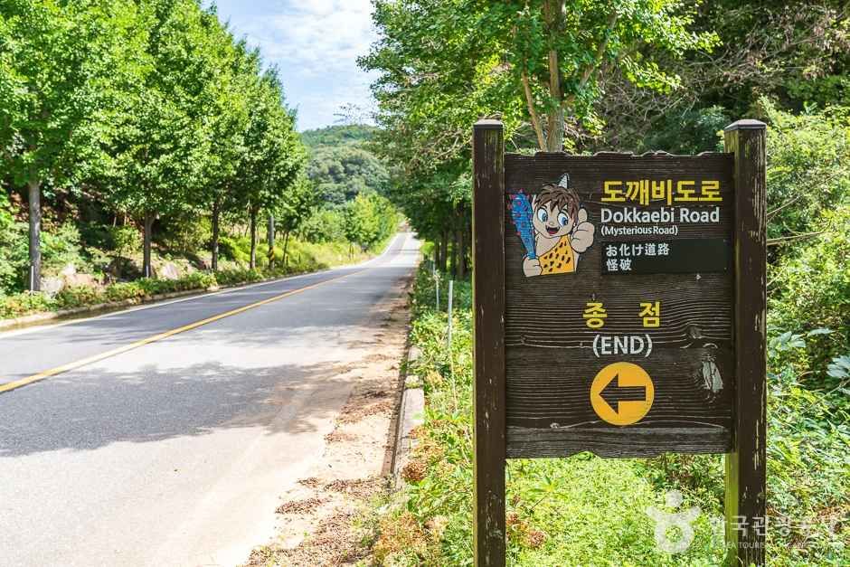 비암사 도깨비도로의 포장된 산길 풍경입니다.