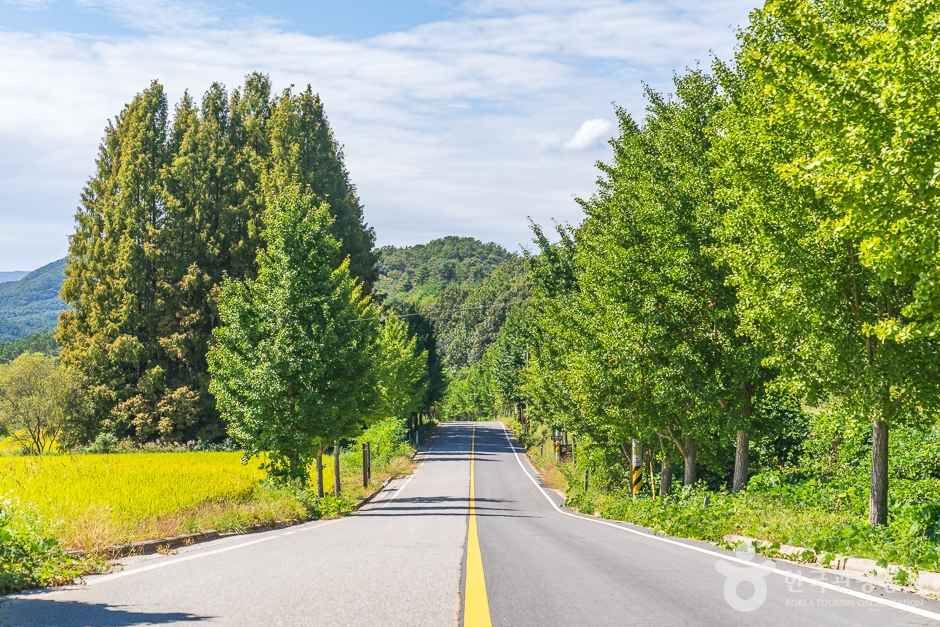 비암사와 도깨비도로를 함께 둘러볼 수 있는 산자락 풍경입니다.