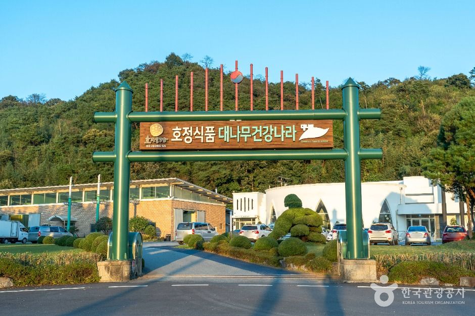 대나무 건강나라에서 만나는 담양 대잎차와 죽향관