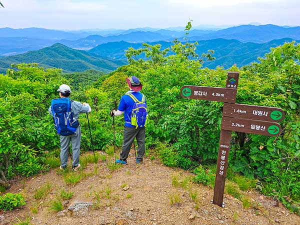 천봉산 609m 품은 대원사, 보성에서 주암호까지