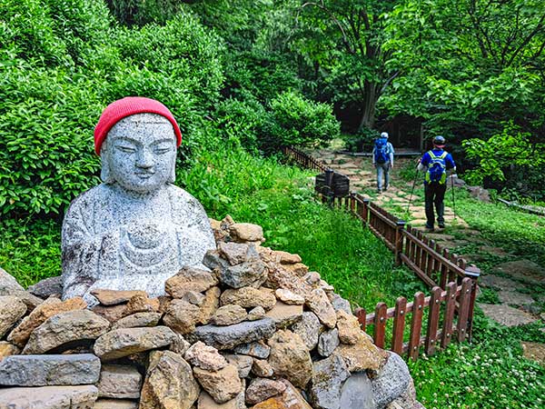 대원사 경내의 빨간 모자 동자승 조형물과 수령 350년 고차수 군락지입니다.