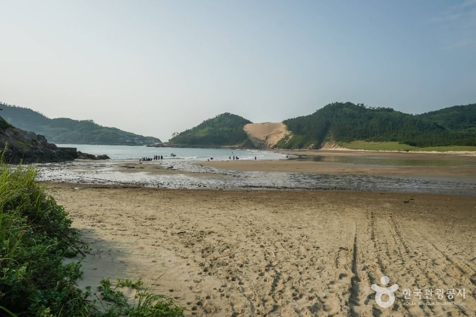 우이도 모래언덕과 해변의 모래 지형을 담은 사진입니다.