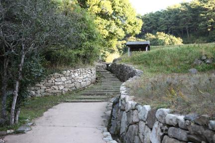 백계산 남쪽 경사면에서 만나는 광양 옥룡사 동백나무 숲