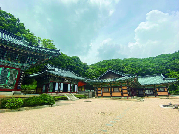 옥룡사터와 동백나무 숲 주변의 산책 풍경을 담은 사진입니다.