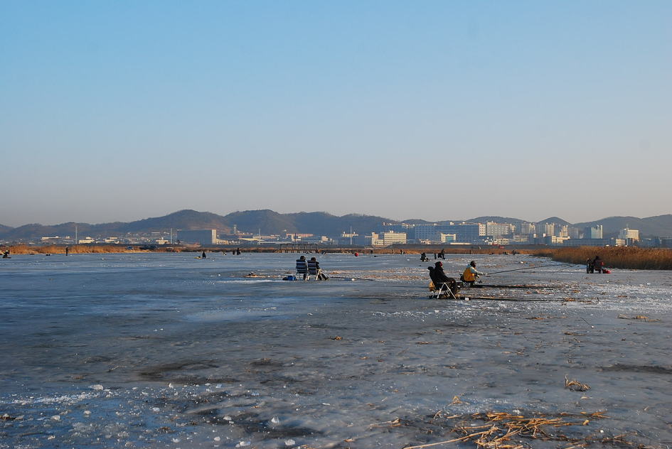 검단수로의 수초대와 낚시 자리를 보여 주는 사진입니다.