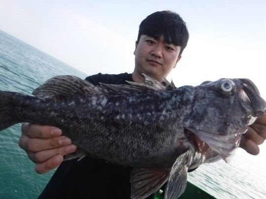 갈매기배낚시 출조 안내에 실린 낚시배 사진입니다.