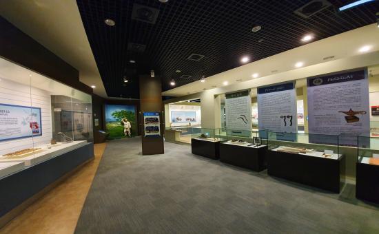 Reading Taekkyeon and World Martial Arts Under One Roof at the Chungju World Martial Arts Museum