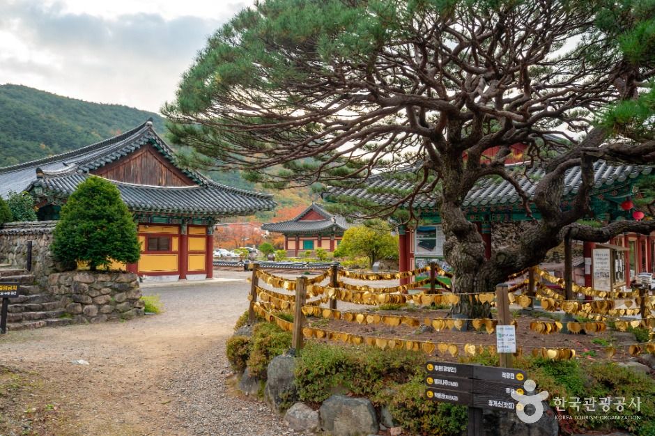 보경사에서 이어지는 내연산 계곡 탐방로의 모습입니다.