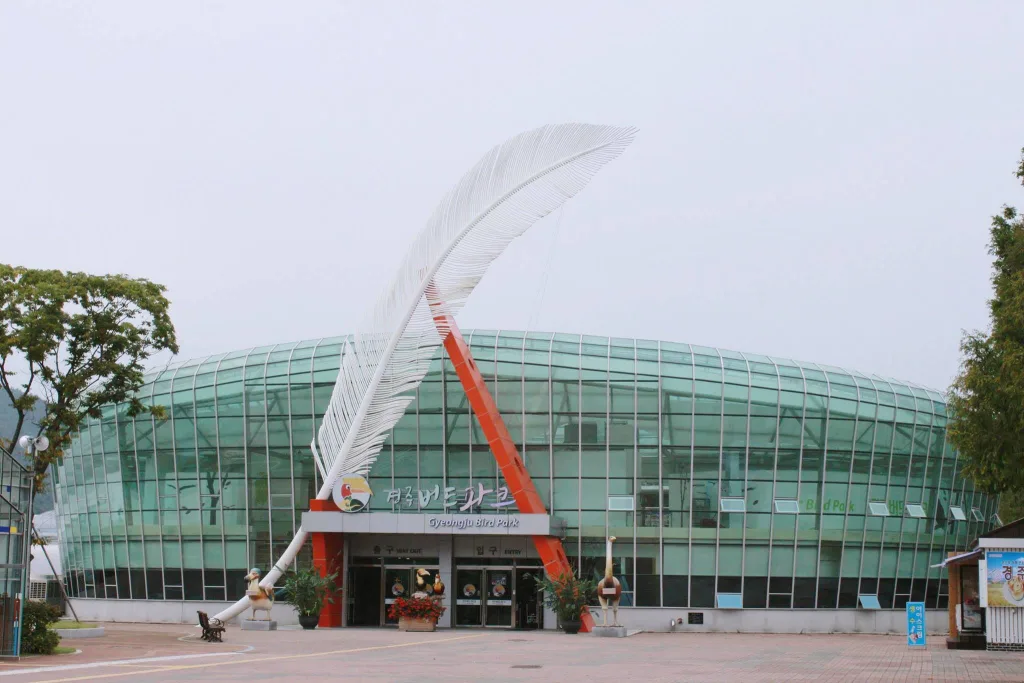 경주 버드파크 내부 체험 공간을 보여주는 이미지입니다.