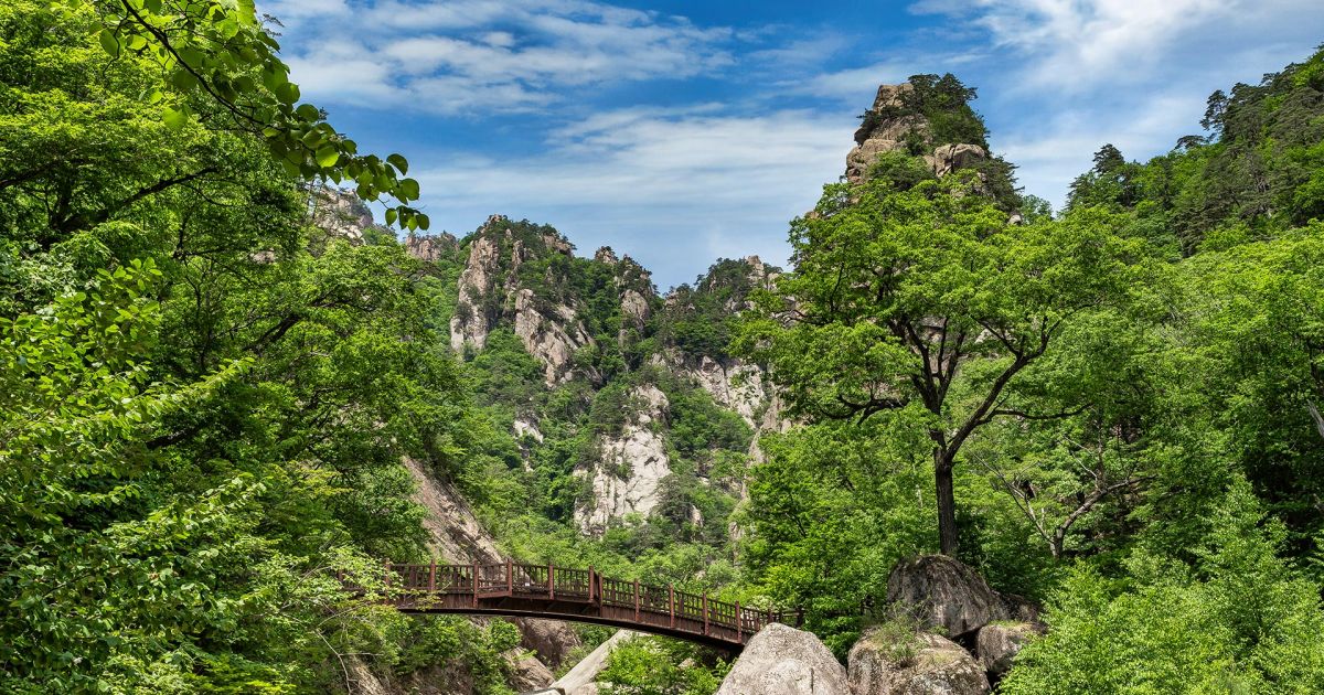 Yangyang Surfing and Jukdobong Peak Views at Jukdo Beach