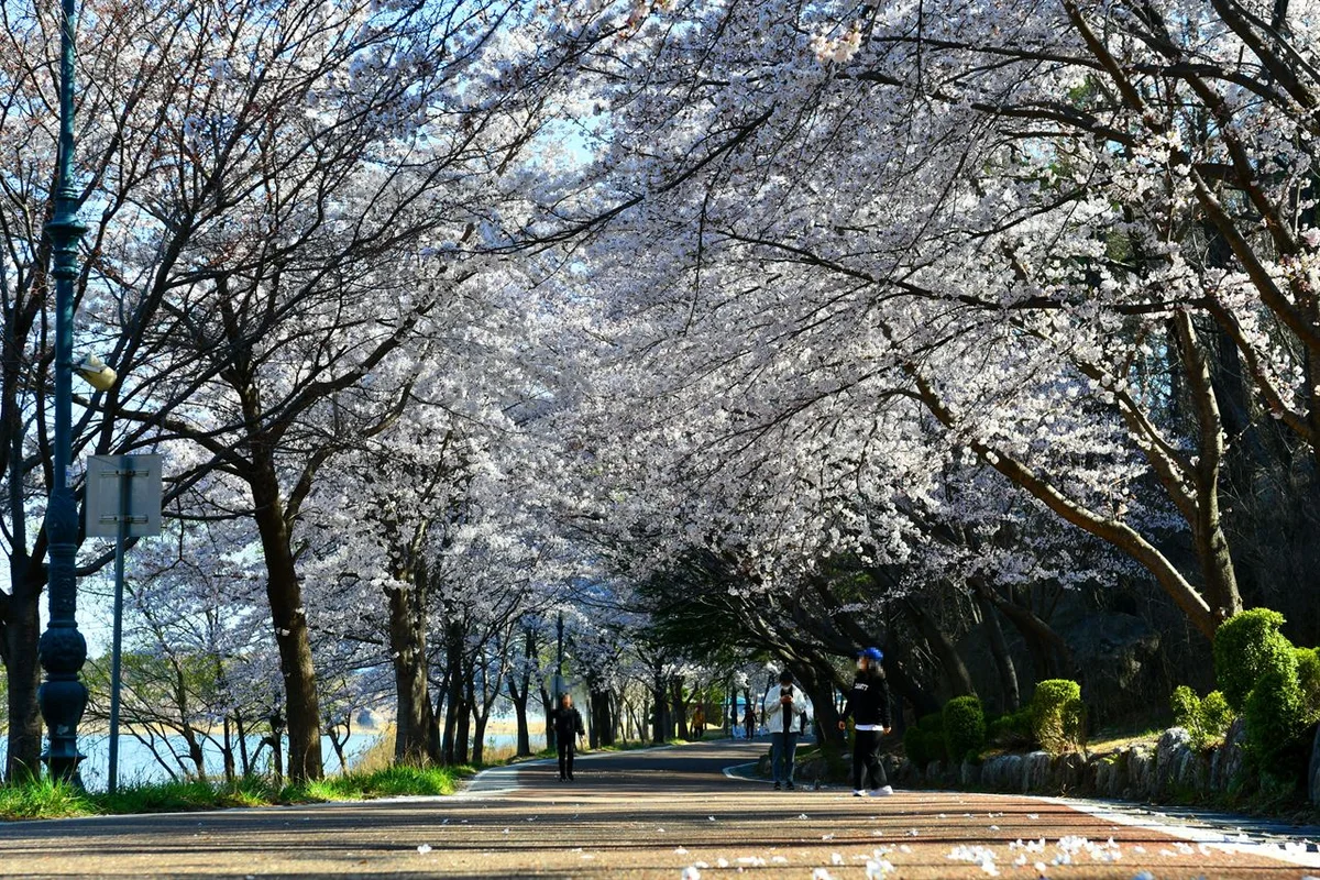 영랑호 여행지의 호수와 주변 경관을 보여 주는 이미지입니다.