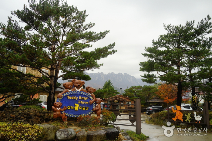 Exhibition and Visit Information for Sokcho Teddy Bear Farm Before Its Fire-Related Closure