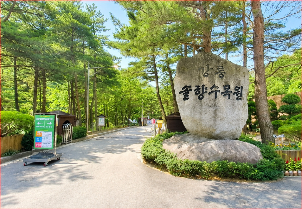 강릉솔향수목원의 관목과 주제원 풍경을 보여주는 사진입니다.