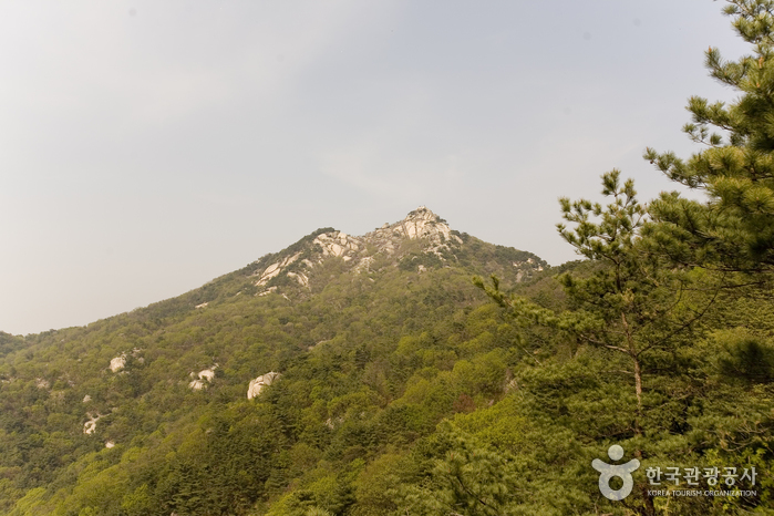 불암산 등산로에서 바라본 바위 지형과 숲 풍경입니다.