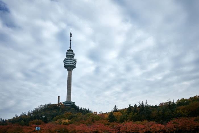 How to Make the Most of 83 Tower, with 360-Degree Views over Downtown Daegu