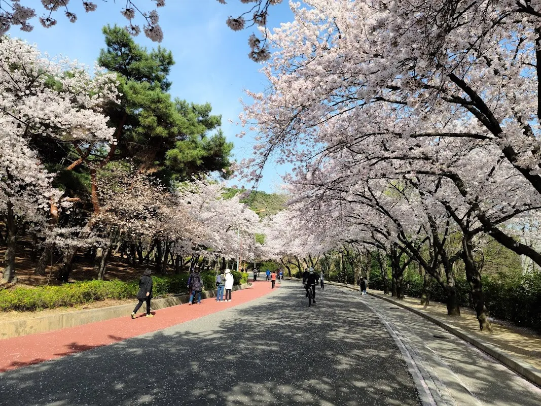 두류공원 산책 공간을 보여 주는 현장 사진입니다.