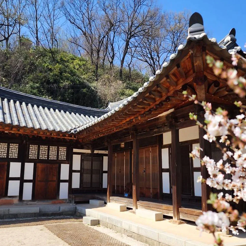 장현식고택 주변의 사랑채와 전통 목조건물입니다.