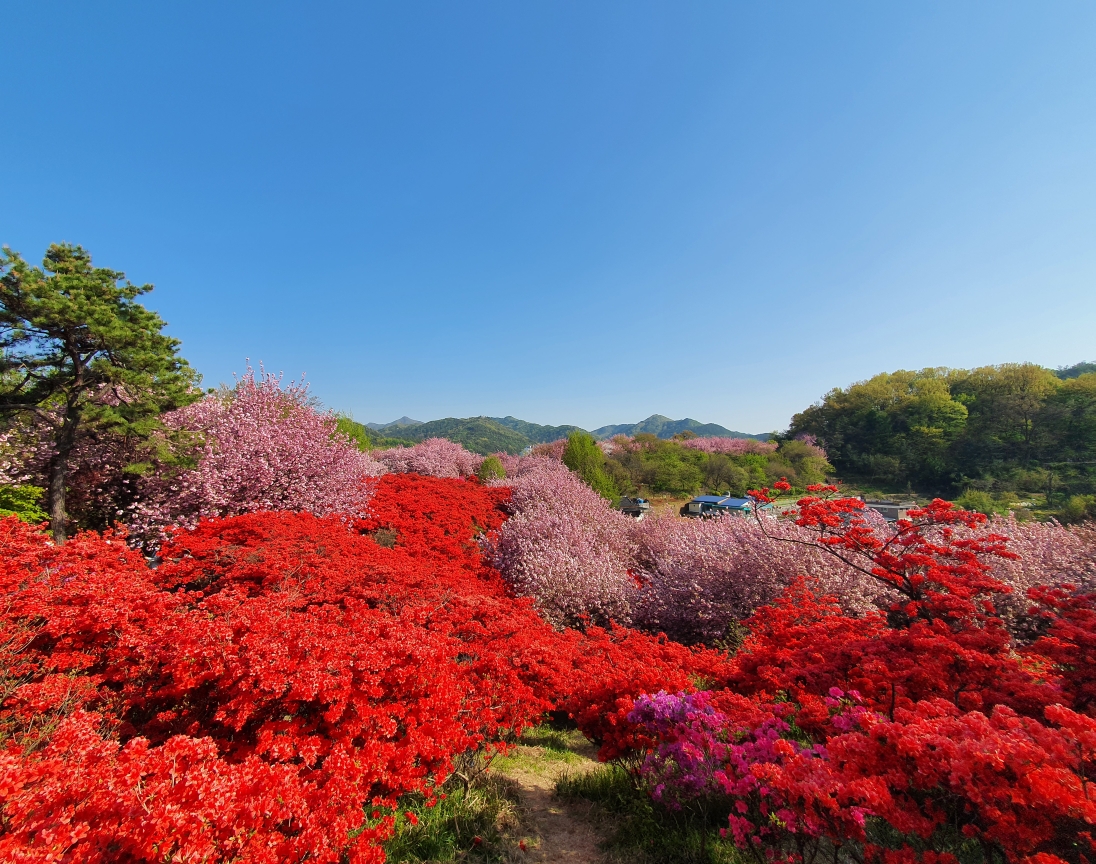 완산도서관 내부 자료공간을 보여주는 사진입니다.