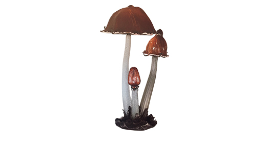 유민 아르누보 컬렉션의 유리공예 작품이 전시된 내부입니다.