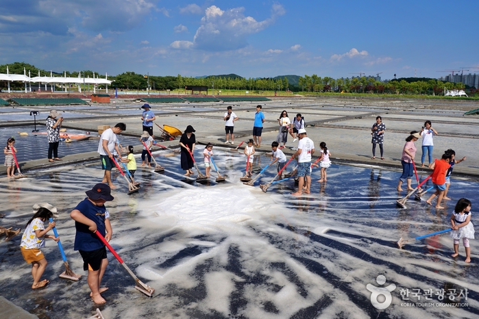Siheung Gaetgol Ecological Park, Where the Sea Flows: Traces of Sorae Salt Fields and How to Get There