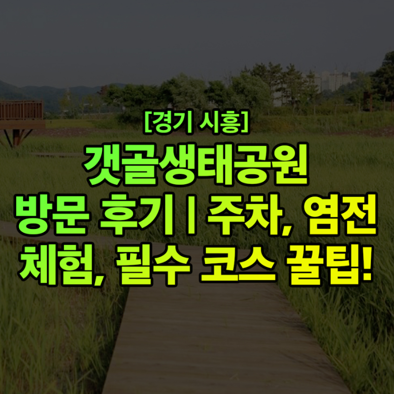 시흥갯골생태공원의 흔들전망대와 산책 공간입니다.