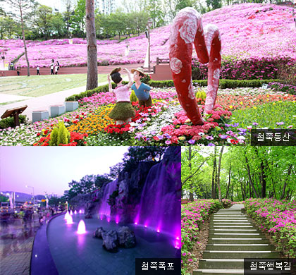 Gunpo Azalea Garden, Where 200,000 Azaleas Cover Sanbon’s Urban Center in Late April