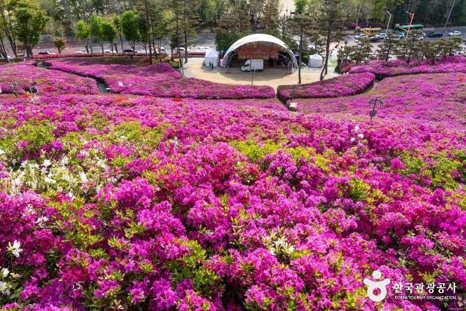 철쭉동산 산책로 주변에 꽃과 휴식 공간이 배치된 모습입니다.