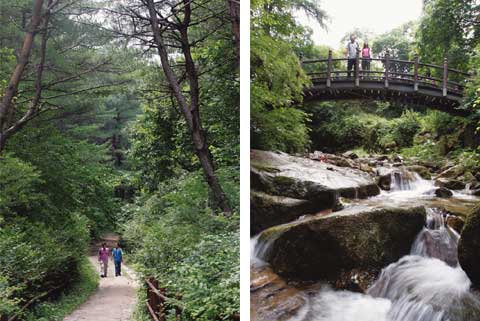 The 1.5 km Historic Trail of Chungju’s Haneuljae Pass, Remnant of Silla’s Gyerip Pass