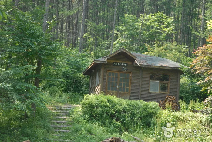 옥화자연휴양림의 숲길과 휴양 공간을 소개하는 여행 사진입니다.