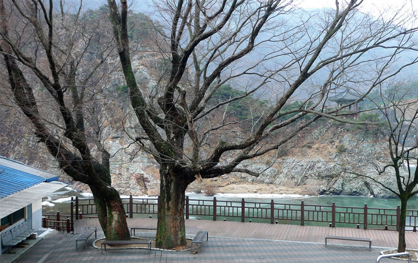 월류봉 주변의 절벽과 물길을 담은 현장 사진입니다.