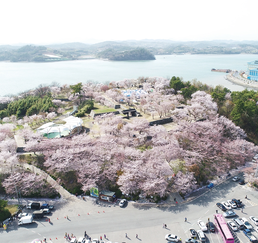 How to See Sacheon Seonjingniseong Fortress, Surrounded by the Sea on Three Sides, Along with Its Japanese-Style Fortress Walls and Cherry Blossom Trail