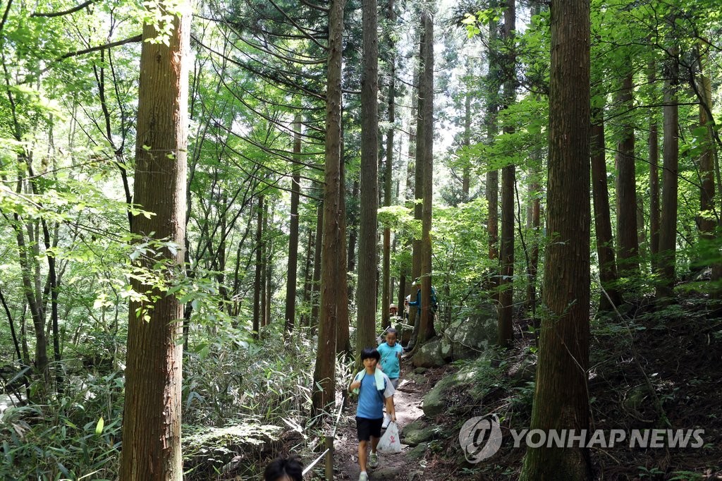 남창계곡 입구에서 이어지는 숲길 트레킹 구간입니다.