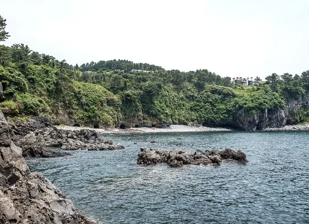 전망대와 보행로에서 바라본 황우지해안의 해안선입니다.