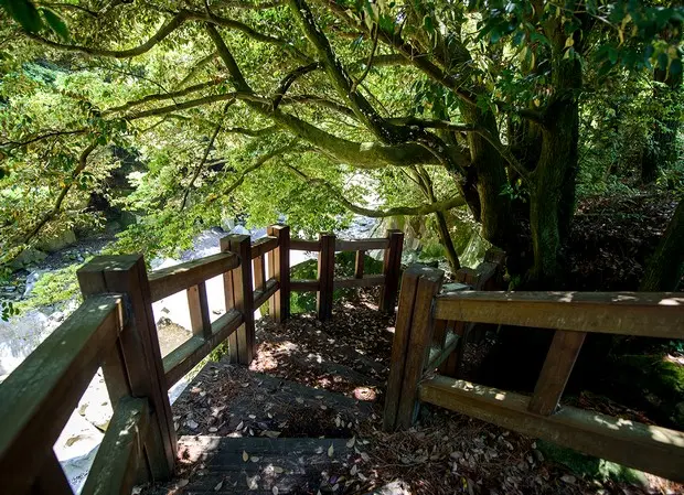 한천을 따라 이어지는 방선문 숲길의 나무와 바위 풍경입니다.
