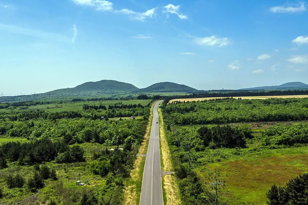 녹산로 유채꽃도로, 10km 노란 능선길을 안전하게 달리는 법